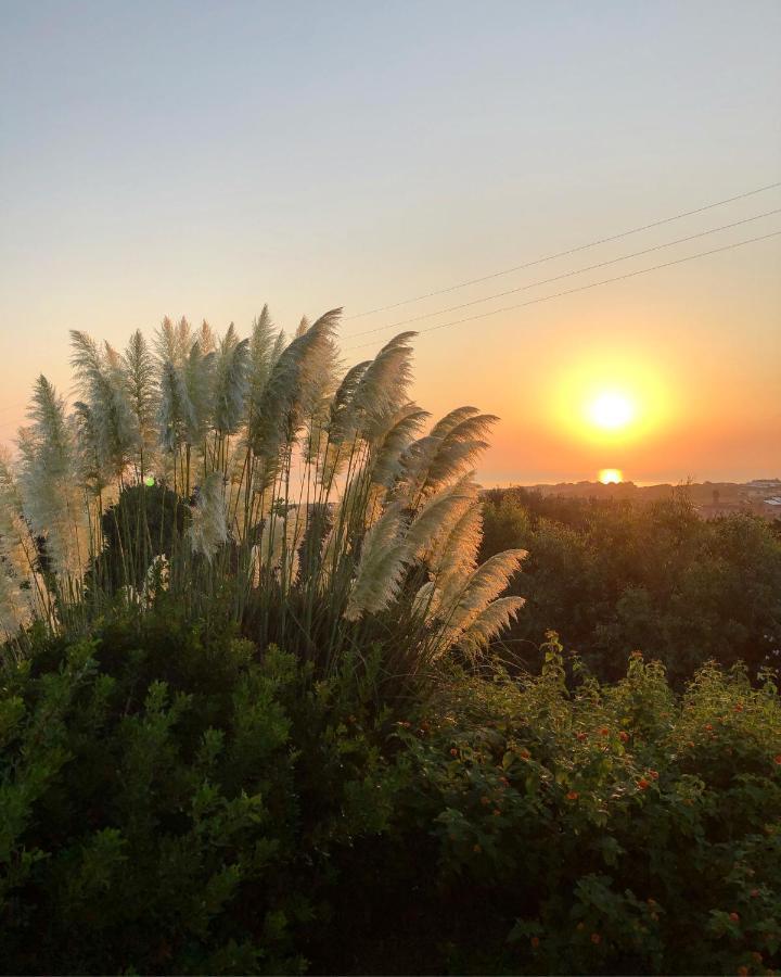 Amaremare B&B Stintino Zewnętrze zdjęcie